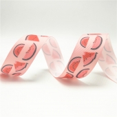 Printed grosgrain ribbon watermelon