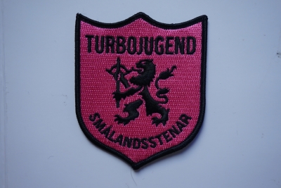 Embroidery patch  Lion